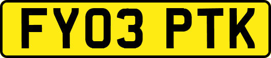 FY03PTK