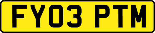 FY03PTM