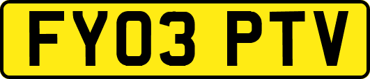 FY03PTV