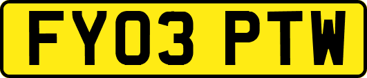 FY03PTW