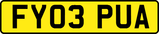 FY03PUA