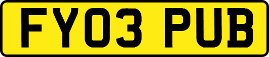 FY03PUB