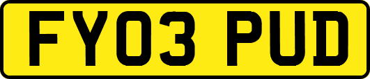 FY03PUD