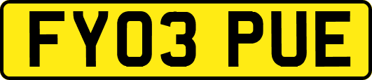 FY03PUE