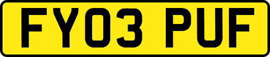 FY03PUF