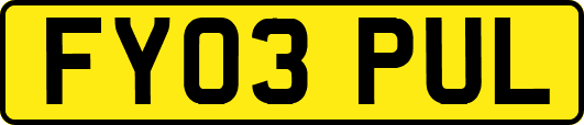 FY03PUL