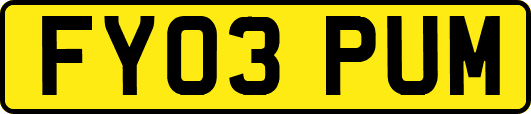 FY03PUM
