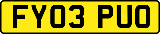 FY03PUO