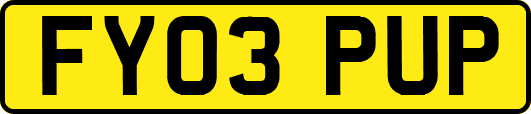 FY03PUP
