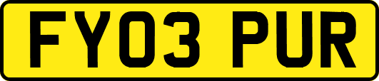 FY03PUR