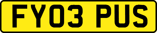 FY03PUS
