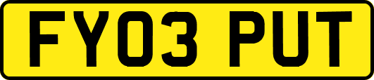 FY03PUT