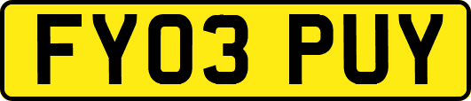 FY03PUY