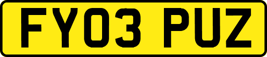 FY03PUZ
