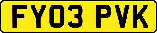 FY03PVK