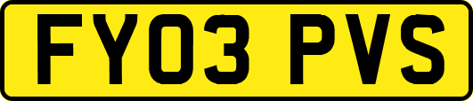 FY03PVS