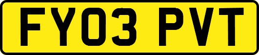 FY03PVT