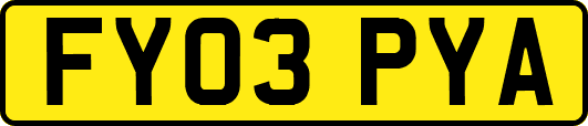 FY03PYA