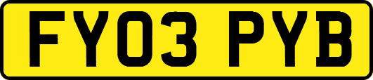 FY03PYB