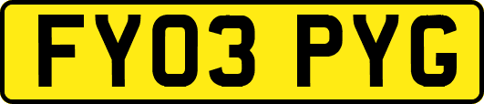 FY03PYG