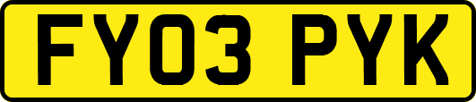FY03PYK