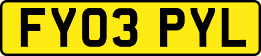FY03PYL