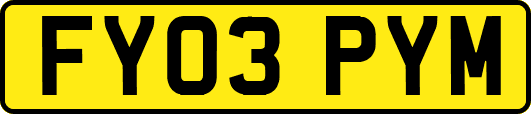 FY03PYM