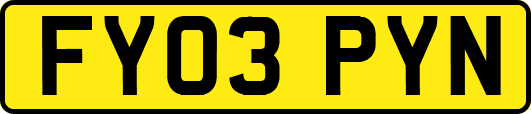 FY03PYN
