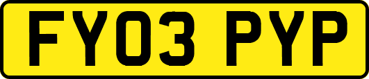 FY03PYP