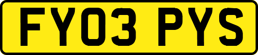FY03PYS