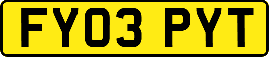 FY03PYT