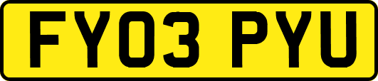FY03PYU