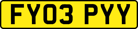 FY03PYY