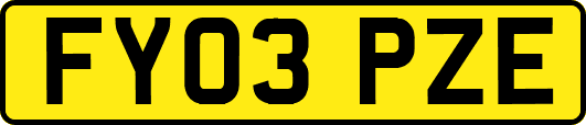 FY03PZE