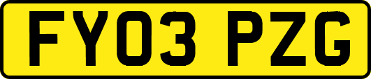 FY03PZG