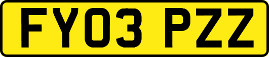 FY03PZZ