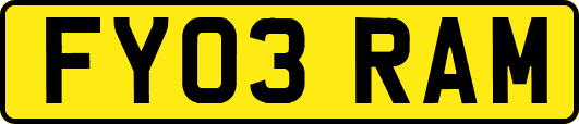 FY03RAM