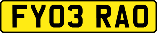 FY03RAO
