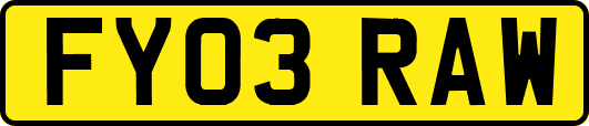 FY03RAW