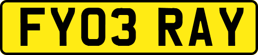FY03RAY