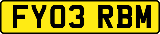 FY03RBM