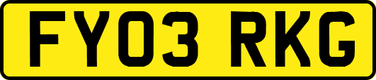 FY03RKG