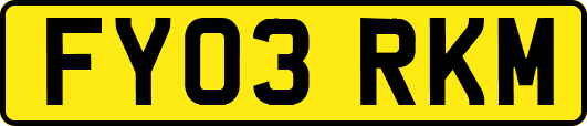 FY03RKM