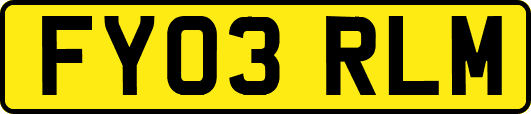 FY03RLM