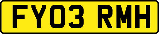 FY03RMH
