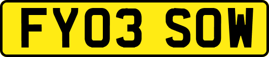 FY03SOW