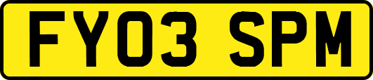 FY03SPM