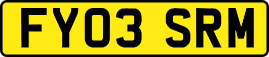 FY03SRM