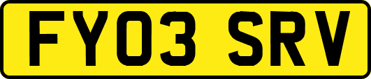 FY03SRV