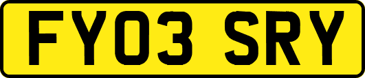 FY03SRY